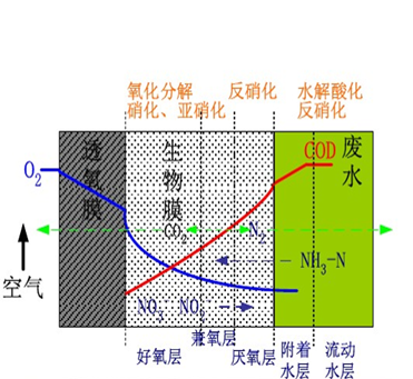 1553442058445763.png image.png